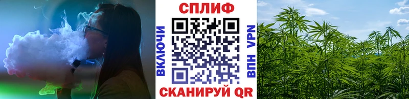 Купить наркотики цена Челябинск Марихуана  Псилоцибиновые грибы  гидра ссылки  Гашиш  МЕФ  Alpha PVP 
