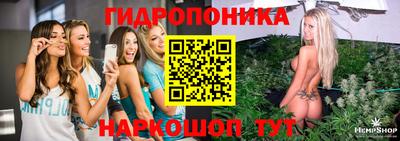 прущие грибы Нижний Тагил