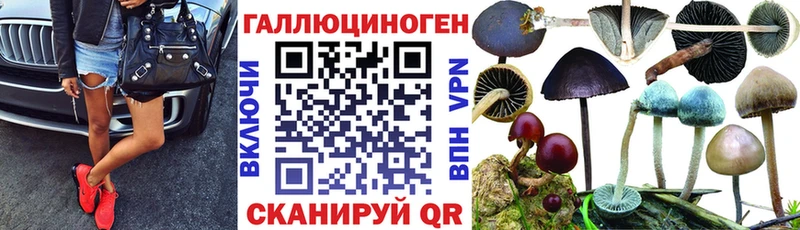 blacksprut маркетплейс  сколько стоит  Челябинск  Галлюциногенные грибы Psilocybine cubensis 