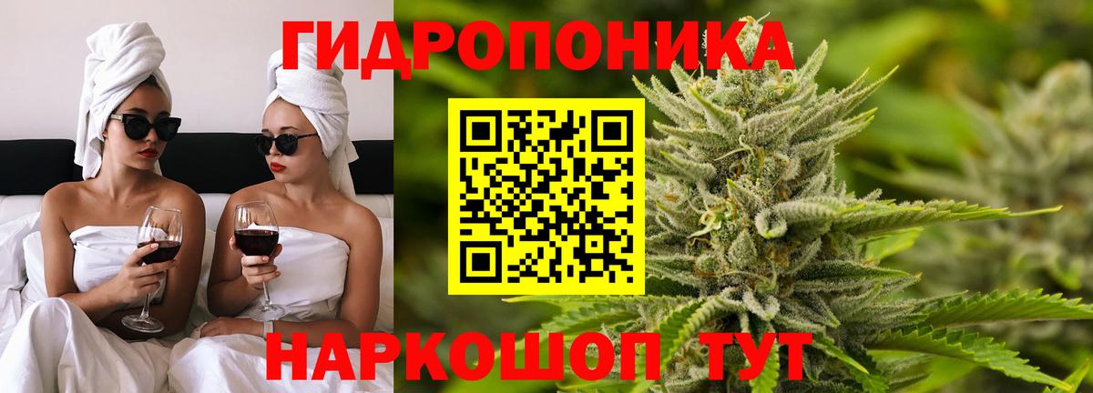 Бошки марихуана OG Kush  Канабис SATIVA & INDICA  Челябинск  Вход с VPN 